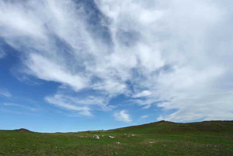 tazeranskaja steppe888.jpg
